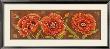 Venetian Poppies by Paul Brent Limited Edition Print