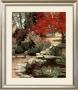 Crimson Tree by Barbara Hails Limited Edition Print