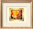 Flower I by Willem Haenraets Limited Edition Pricing Art Print