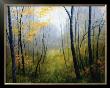 Woodland Mist by Robert Striffolino Limited Edition Print