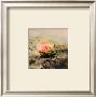 Waterlily Pond, 1908 (Detail) by Claude Monet Limited Edition Print