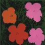 Flowers, C.1964 (1 Orange, 1 Red, 2 Pink) by Andy Warhol Limited Edition Print