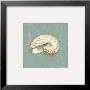 Nautilus by Lisa Danielle Limited Edition Print