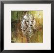 White Poodle by Jamie Carter Limited Edition Print