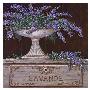 Paquet De Lavande by Janet Kruskamp Limited Edition Print