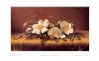 Cherokee Roses by Martin Johnson Heade Limited Edition Pricing Art Print