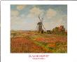 Champs De Tulipes by Claude Monet Limited Edition Print