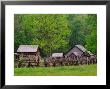 Pioneer Homestead, Great Smoky Mountains, North Carolina, Usa by Adam Jones Limited Edition Print
