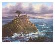 Lone Cypress by Rudi Reichardt Limited Edition Print