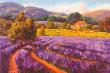 Fragrant Fields by Erin Dertner Limited Edition Print