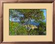 Landscape At Bordighera by Claude Monet Limited Edition Print