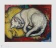 The White Cat by Franz Marc Limited Edition Pricing Art Print