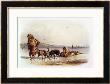 Dog Sledges Of The Mandan Indians by Karl Bodmer Limited Edition Print