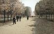 Paris Luxembourg, A Walking Path by Harold Altman Limited Edition Print