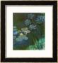 Waterlilies And Agapantes, 1914-1917 by Claude Monet Limited Edition Print