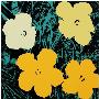 Blumen 72 Gelb by Andy Warhol Limited Edition Pricing Art Print