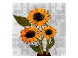 Three Sunflowers Iv by Miguel Paredes Limited Edition Pricing Art Print