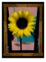 Sunflower Iv by Miguel Paredes Limited Edition Print