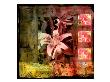 Green Signature I by Miguel Paredes Limited Edition Print
