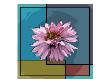 Liech by Miguel Paredes Limited Edition Pricing Art Print