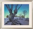 Hill Top Farm by Maxfield Parrish Limited Edition Print