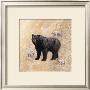Bear Study by Judy Gibson Limited Edition Print