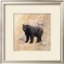 Bear Study by Judy Gibson Limited Edition Pricing Art Print