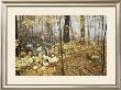 Autumn Maples by Ron Parker Limited Edition Print