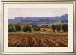 Terroir by Kent Lovelace Limited Edition Print