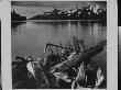 Serene Landscape With Snowy Mountains, Lake And Driftwood, At Grand Canyon National Park, Az by Ansel Adams Limited Edition Print