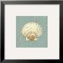 Scallop Shell by Lisa Danielle Limited Edition Pricing Art Print
