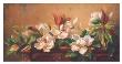 Grandiflora by Fran Di Giacomo Limited Edition Print