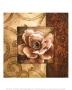 Linen Roses Ii by Linda Thompson Limited Edition Print
