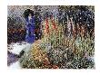Les Glaieuls by Claude Monet Limited Edition Print