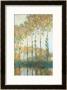 Poplars On The Banks Of The Epte, Autumn, 1891 by Claude Monet Limited Edition Print