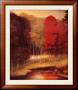 Vermilion Meadow by Robert Striffolino Limited Edition Print