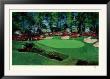 Azalea Hole by Mark King Limited Edition Pricing Art Print