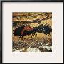 Cave Art: Bison by John James Audubon Limited Edition Print