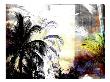 Tropical Palms Iv by Miguel Paredes Limited Edition Pricing Art Print