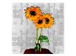 Three Sunflowers Iii by Miguel Paredes Limited Edition Print