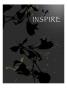 Inspire Grey by Miguel Paredes Limited Edition Print
