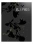 Inspire Grey by Miguel Paredes Limited Edition Pricing Art Print