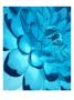Reflections Vi by Miguel Paredes Limited Edition Pricing Art Print