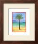 Island Palm by Paul Brent Limited Edition Print