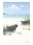 South Coral Beach by Joe Sambataro Limited Edition Print
