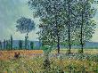 Felder Im Frã¼hling by Claude Monet Limited Edition Print