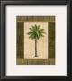 East Indies Palm Ii by Paul Brent Limited Edition Print