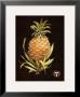 Old World Pineapple I by David Nichols Limited Edition Pricing Art Print