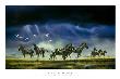 Storm Skittish by Craig Bone Limited Edition Print