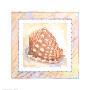 Bordered Shell-Helmet by Paul Brent Limited Edition Pricing Art Print